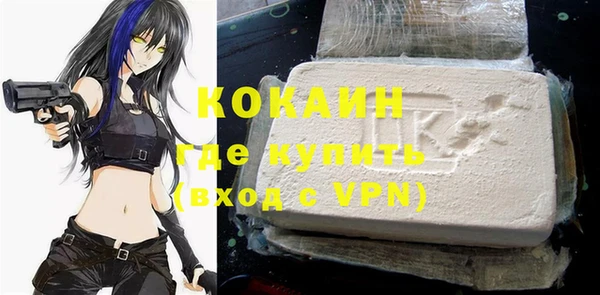 шишки Аркадак