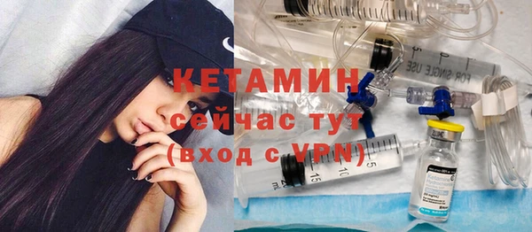 шишки Аркадак