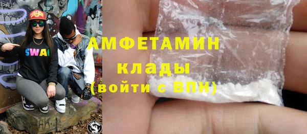шишки Аркадак