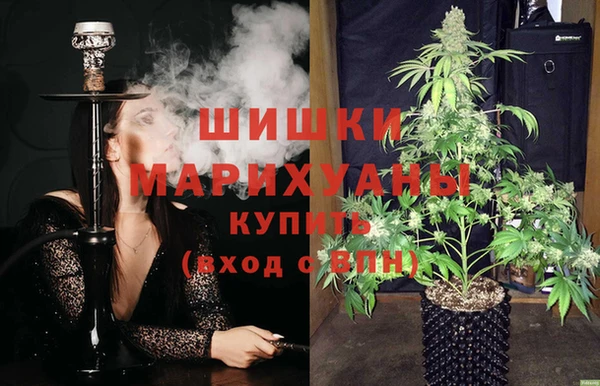шишки Аркадак
