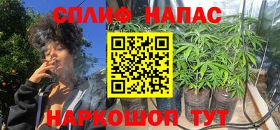 прущие грибы Кингисепп