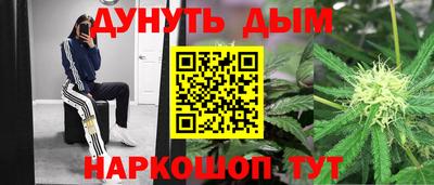 прущие грибы Кингисепп