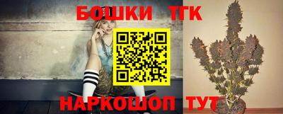 прущие грибы Кингисепп