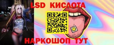 прущие грибы Кингисепп