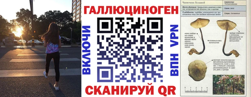 mega tor  купить наркотик  Кувандык  площадка наркотические препараты  Галлюциногенные грибы мицелий 